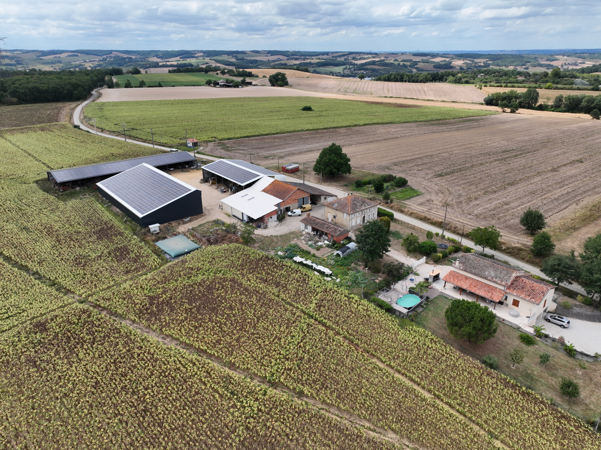 DJI 0361